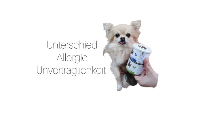 Unterschied Allergie und Nahrungsmittelunverträglichkeit - 