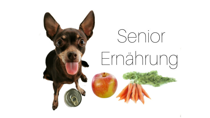 Senior Ernährung 8+  - 