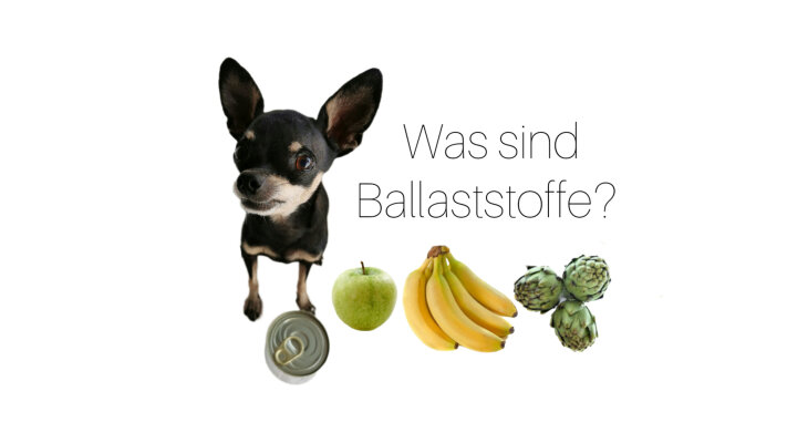 Was sind eigentlich Ballaststoffe? - 